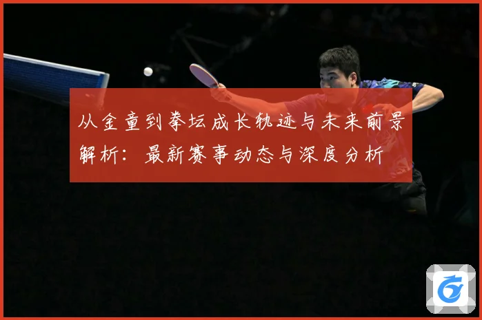 从金童到拳坛成长轨迹与未来前景解析：最新赛事动态与深度分析