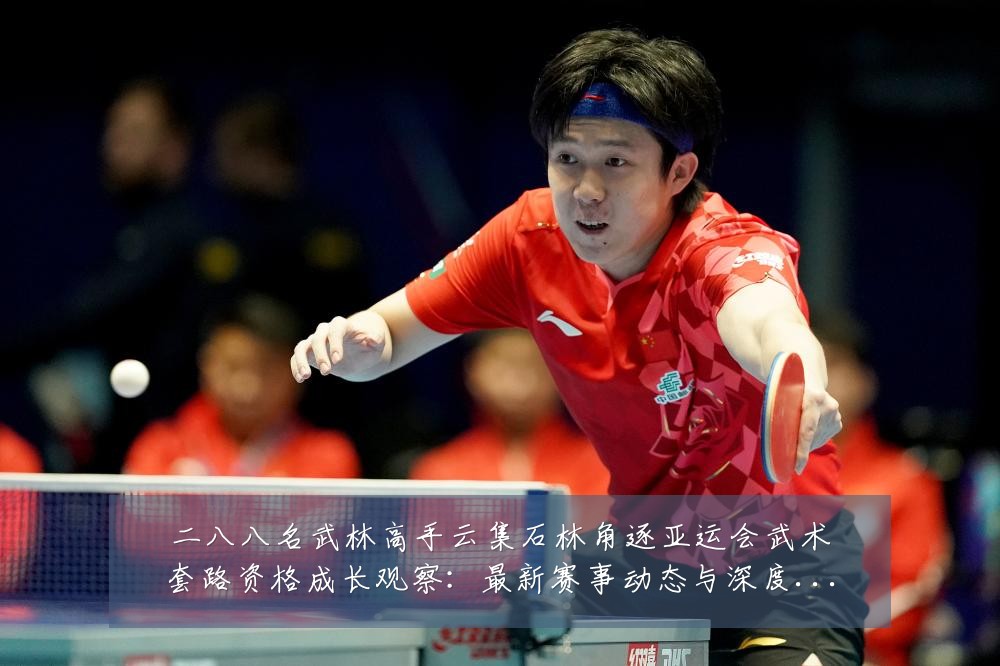 二八八名武林高手云集石林角逐亚运会武术套路资格成长观察：最新赛事动态与深度分析